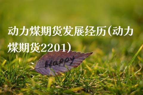 动力煤期货发展经历(动力煤期货2201)_https://www.zztgc.com_期货开户_第1张