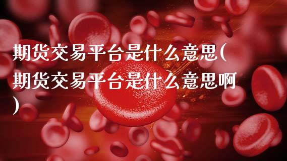 期货交易平台是什么意思(期货交易平台是什么意思啊)_https://www.zztgc.com_黄金期货_第1张