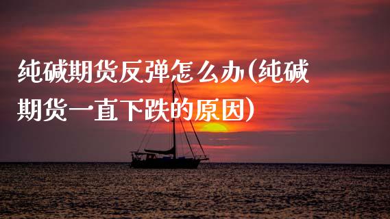 纯碱期货反弹怎么办(纯碱期货一直下跌的原因)_https://www.zztgc.com_期货直播_第1张