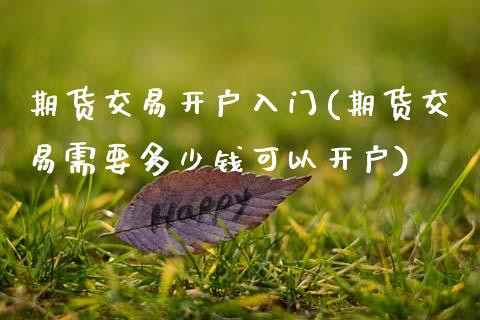 期货交易开户入门(期货交易需要多少钱可以开户)_https://www.zztgc.com_期货直播_第1张
