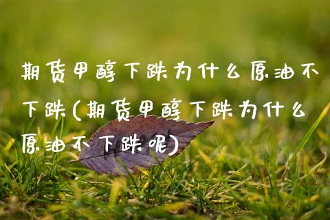 期货甲醇下跌为什么原油不下跌(期货甲醇下跌为什么原油不下跌呢)_https://www.zztgc.com_期货直播_第1张