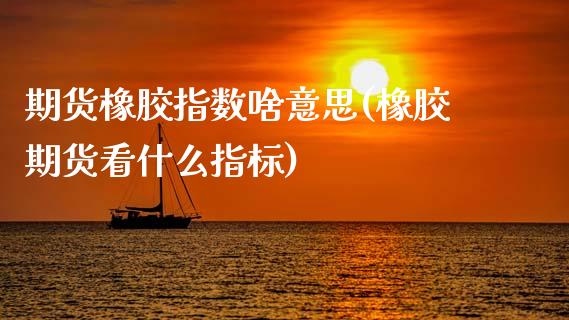 期货橡胶指数啥意思(橡胶期货看什么指标)_https://www.zztgc.com_期货开户_第1张