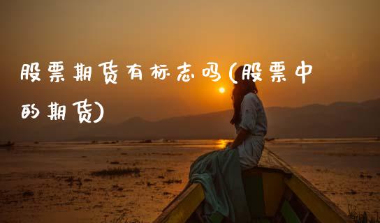 股票期货有标志吗(股票中的期货)_https://www.zztgc.com_期货直播_第1张