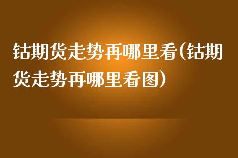 钴期货走势再哪里看(钴期货走势再哪里看图)_https://www.zztgc.com_黄金期货_第1张