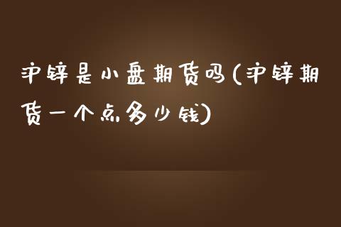 沪锌是小盘期货吗(沪锌期货一个点多少钱)_https://www.zztgc.com_期货开户_第1张