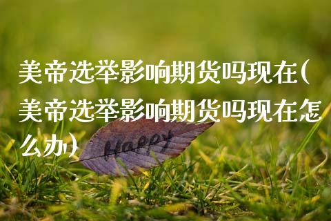 美帝选举影响期货吗现在(美帝选举影响期货吗现在怎么办)_https://www.zztgc.com_原油期货_第1张
