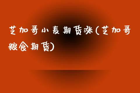 芝加哥小麦期货涨(芝加哥粮食期货)_https://www.zztgc.com_期货入门_第1张