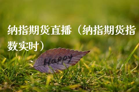 纳指期货直播（纳指期货指数实时）_https://www.zztgc.com_期货开户_第1张
