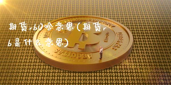 期货rb0啥意思(期货rb是什么意思)_https://www.zztgc.com_原油期货_第1张
