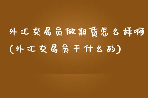 外汇交易员做期货怎么样啊(外汇交易员干什么的)_https://www.zztgc.com_期货入门_第1张