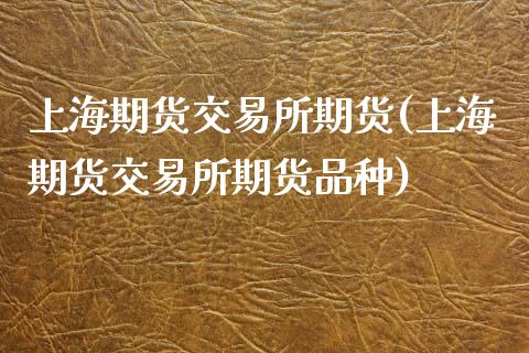 上海期货交易所期货(上海期货交易所期货品种)_https://www.zztgc.com_期货开户_第1张