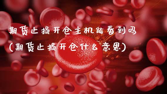 期货止损开仓主机能看到吗(期货止损开仓什么意思)_https://www.zztgc.com_期货直播_第1张