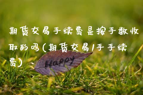 期货交易手续费是按手数收取的吗(期货交易1手手续费)_https://www.zztgc.com_期货行情_第1张