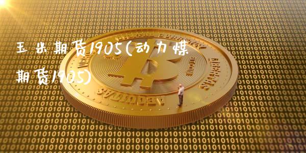 玉米期货1905(动力煤期货1905)_https://www.zztgc.com_期货入门_第1张