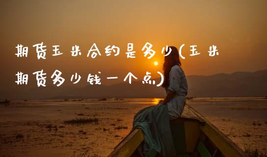 期货玉米合约是多少(玉米期货多少钱一个点)_https://www.zztgc.com_期货直播_第1张