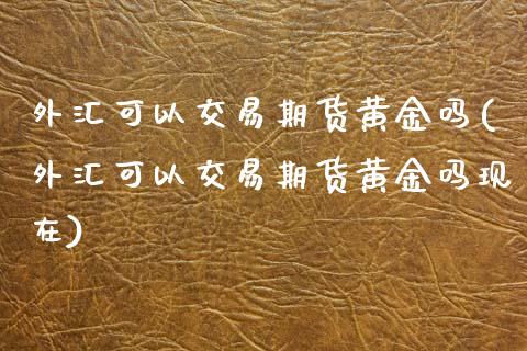 外汇可以交易期货黄金吗(外汇可以交易期货黄金吗现在)_https://www.zztgc.com_黄金期货_第1张