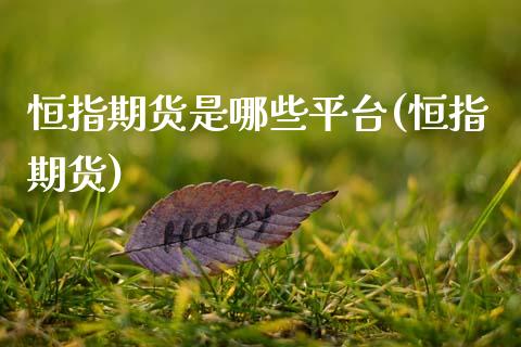 恒指期货是哪些平台(恒指期货)_https://www.zztgc.com_期货入门_第1张