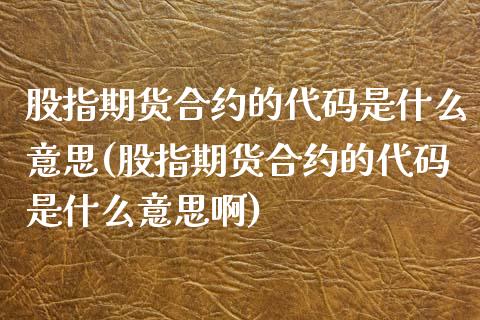 股指期货合约的代码是什么意思(股指期货合约的代码是什么意思啊)_https://www.zztgc.com_期货入门_第1张