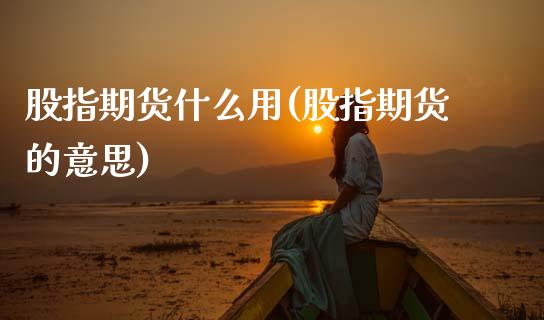 股指期货什么用(股指期货的意思)_https://www.zztgc.com_黄金期货_第1张