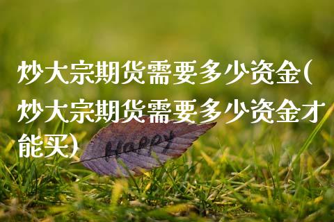 炒大宗期货需要多少资金(炒大宗期货需要多少资金才能买)_https://www.zztgc.com_期货入门_第1张