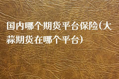 国内哪个期货平台保险(大蒜期货在哪个平台)_https://www.zztgc.com_期货直播_第1张