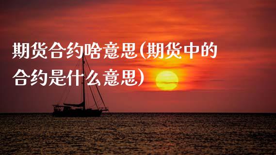 期货合约啥意思(期货中的合约是什么意思)_https://www.zztgc.com_期货行情_第1张