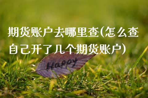 期货账户去哪里查(怎么查自己开了几个期货账户)_https://www.zztgc.com_期货直播_第1张