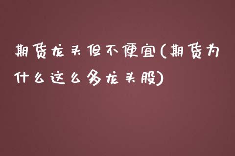 期货龙头但不便宜(期货为什么这么多龙头股)_https://www.zztgc.com_期货直播_第1张
