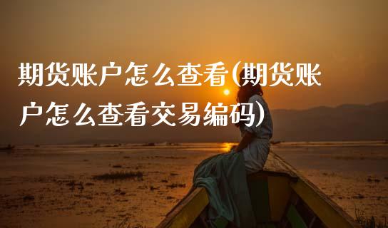 期货账户怎么查看(期货账户怎么查看交易编码)_https://www.zztgc.com_原油期货_第1张