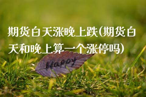 期货白天涨晚上跌(期货白天和晚上算一个涨停吗)_https://www.zztgc.com_黄金期货_第1张