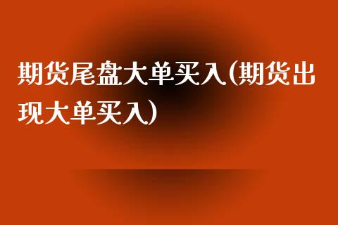 期货尾盘大单买入(期货出现大单买入)_https://www.zztgc.com_原油期货_第1张