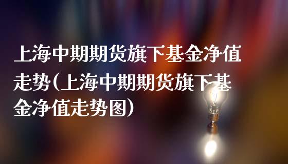 上海中期期货旗下基金净值走势(上海中期期货旗下基金净值走势图)_https://www.zztgc.com_期货行情_第1张