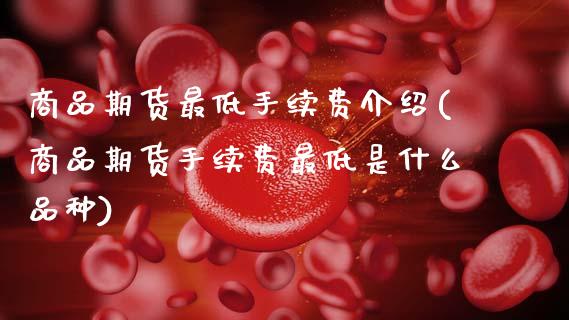 商品期货最低手续费介绍(商品期货手续费最低是什么品种)_https://www.zztgc.com_原油期货_第1张