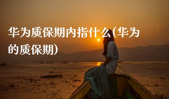 华为质保期内指什么(华为的质保期)_https://www.zztgc.com_期货开户_第1张