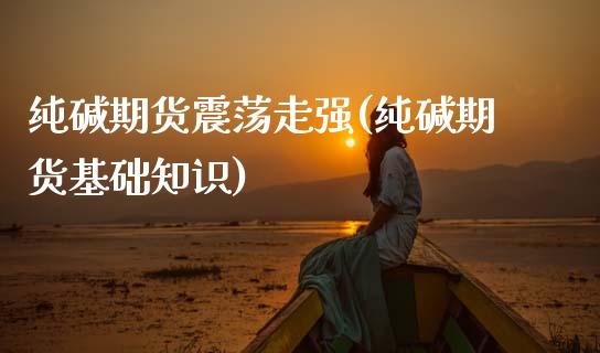 纯碱期货震荡走强(纯碱期货基础知识)_https://www.zztgc.com_期货行情_第1张