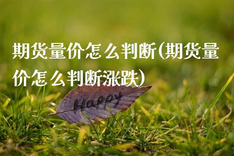 期货量价怎么判断(期货量价怎么判断涨跌)_https://www.zztgc.com_期货入门_第1张