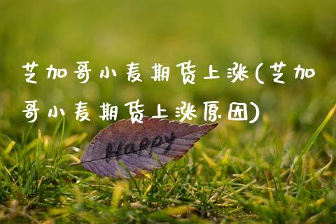 芝加哥小麦期货上涨(芝加哥小麦期货上涨原因)_https://www.zztgc.com_原油期货_第1张