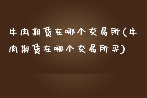 牛肉期货在哪个交易所(牛肉期货在哪个交易所买)_https://www.zztgc.com_期货入门_第1张