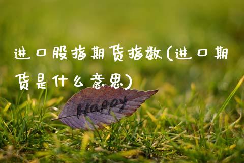 进口股指期货指数(进口期货是什么意思)_https://www.zztgc.com_期货入门_第1张