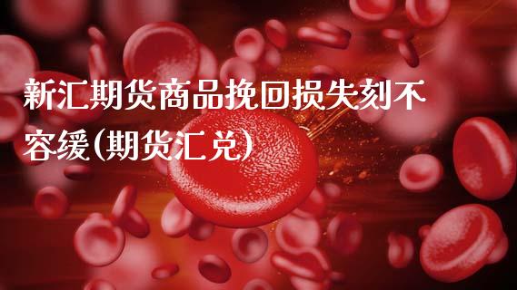 新汇期货商品挽回损失刻不容缓(期货汇兑)_https://www.zztgc.com_黄金期货_第1张