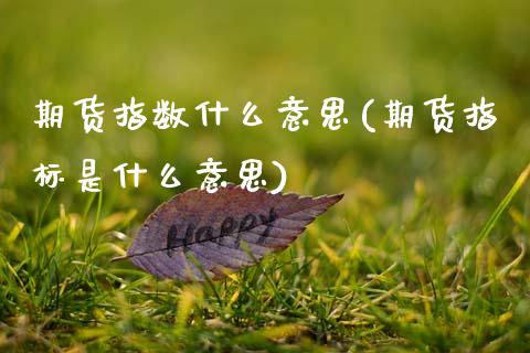 期货指数什么意思(期货指标是什么意思)_https://www.zztgc.com_期货入门_第1张