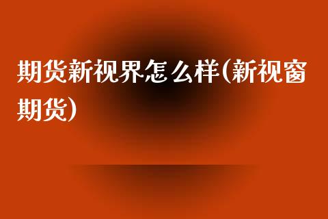 期货新视界怎么样(新视窗期货)_https://www.zztgc.com_期货入门_第1张