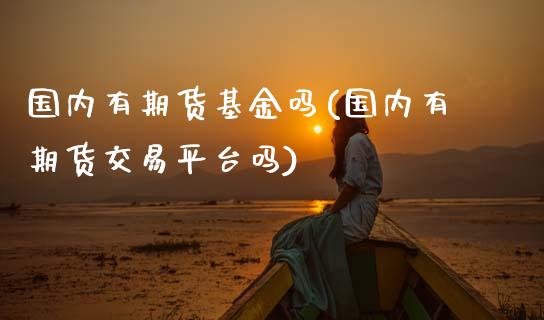 国内有期货基金吗(国内有期货交易平台吗)_https://www.zztgc.com_黄金期货_第1张