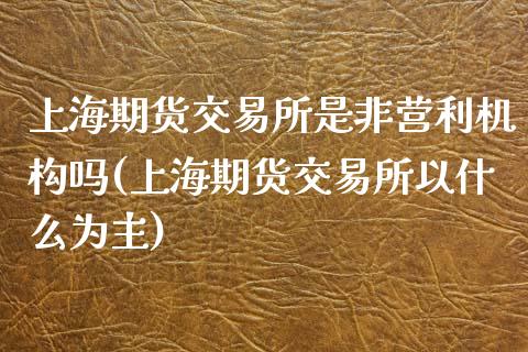 上海期货交易所是非营利机构吗(上海期货交易所以什么为主)_https://www.zztgc.com_期货行情_第1张