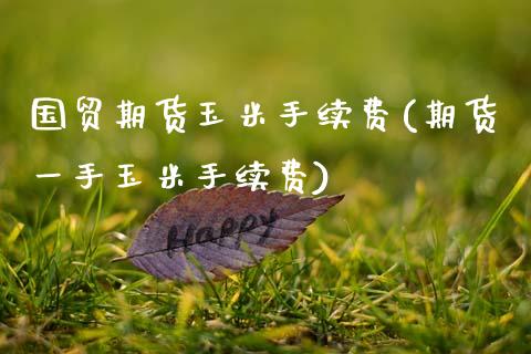 国贸期货玉米手续费(期货一手玉米手续费)_https://www.zztgc.com_期货直播_第1张