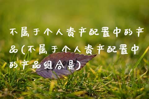 不属于个人资产配置中的产品(不属于个人资产配置中的产品组合是)_https://www.zztgc.com_原油期货_第1张