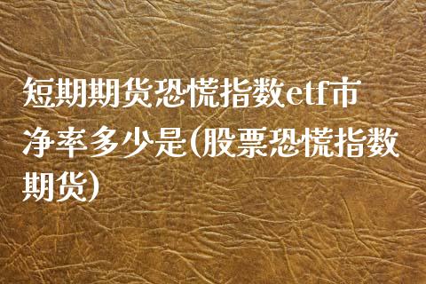 短期期货恐慌指数etf市净率多少是(股票恐慌指数期货)_https://www.zztgc.com_期货开户_第1张