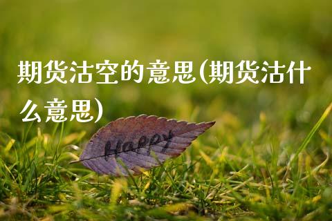 期货沽空的意思(期货沽什么意思)_https://www.zztgc.com_黄金期货_第1张