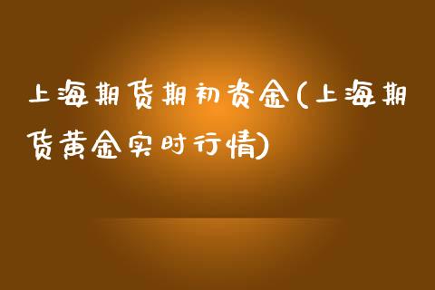 上海期货期初资金(上海期货黄金实时行情)_https://www.zztgc.com_原油期货_第1张
