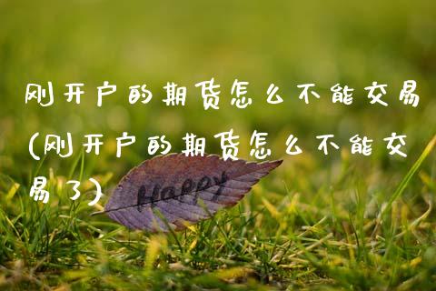 刚开户的期货怎么不能交易(刚开户的期货怎么不能交易了)_https://www.zztgc.com_原油期货_第1张